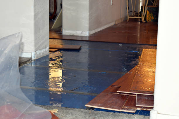 Professional Burst Pipe Cleanup technician working in Riesel, TX